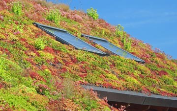 Cill Amhlaidh living roof systems